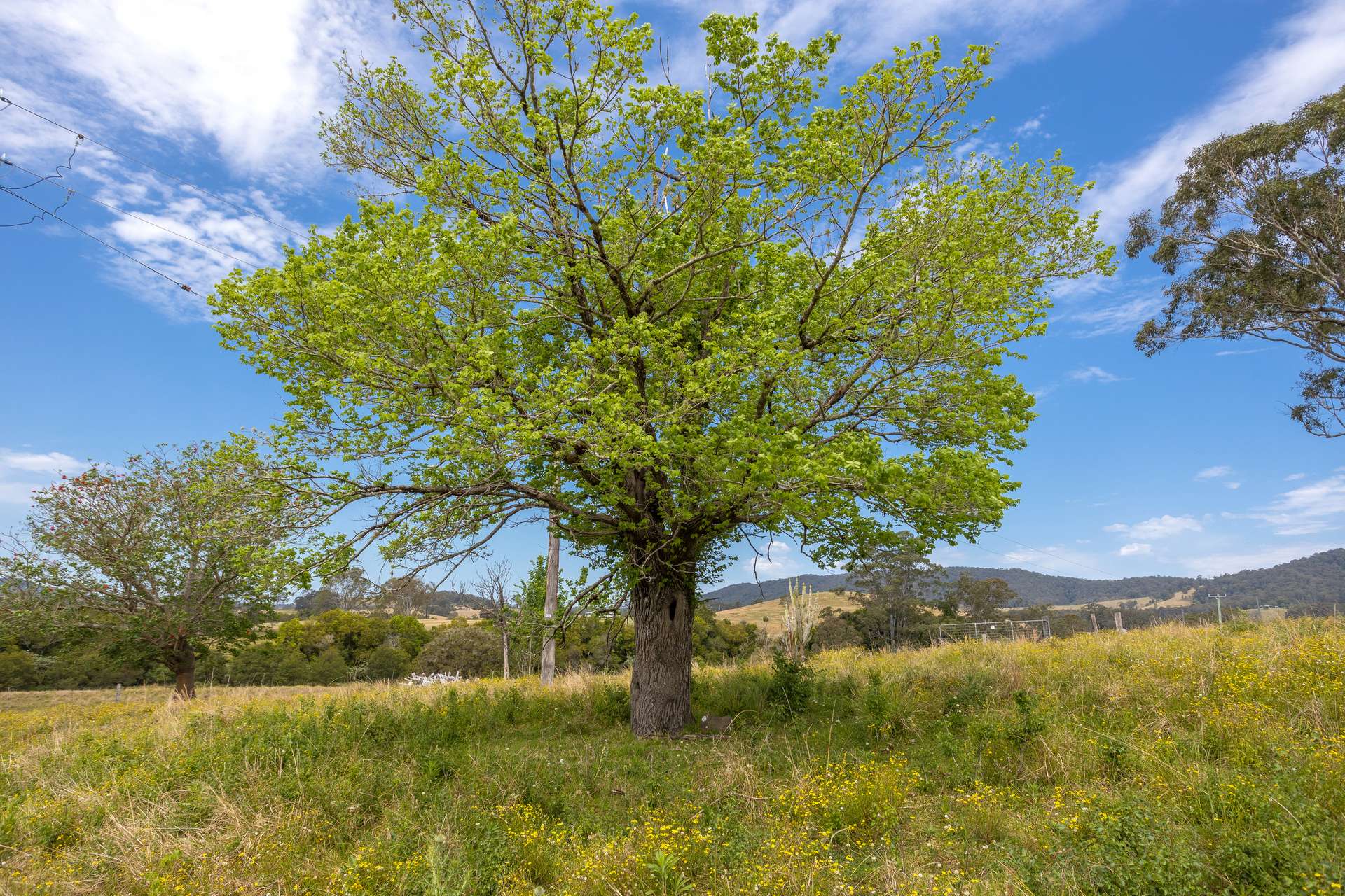 120 Norries Road, Bunyah For Sale by Farmbuy.com - image 23