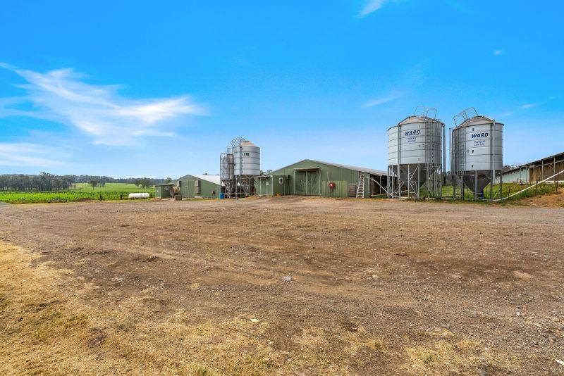 438 Markwell Road, Bulahdelah For Sale by Farmbuy.com - image 9
