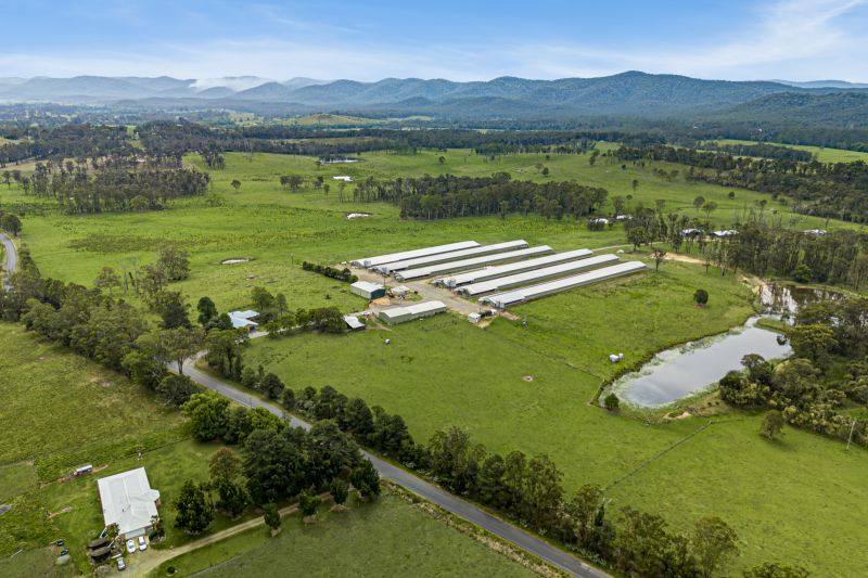 438 Markwell Road, Bulahdelah For Sale by Farmbuy.com - image 4