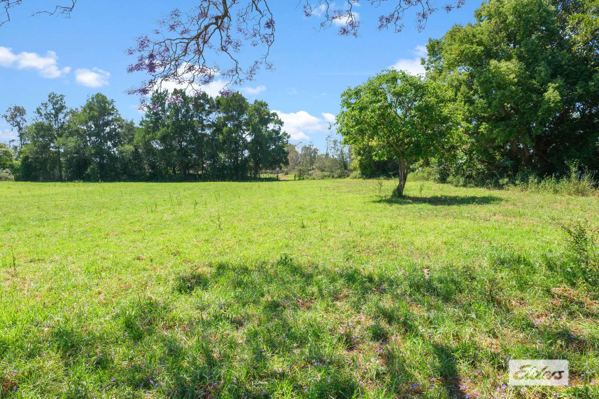 282 Newtons Road, Dumaresq Island For Sale by Farmbuy.com - image 19