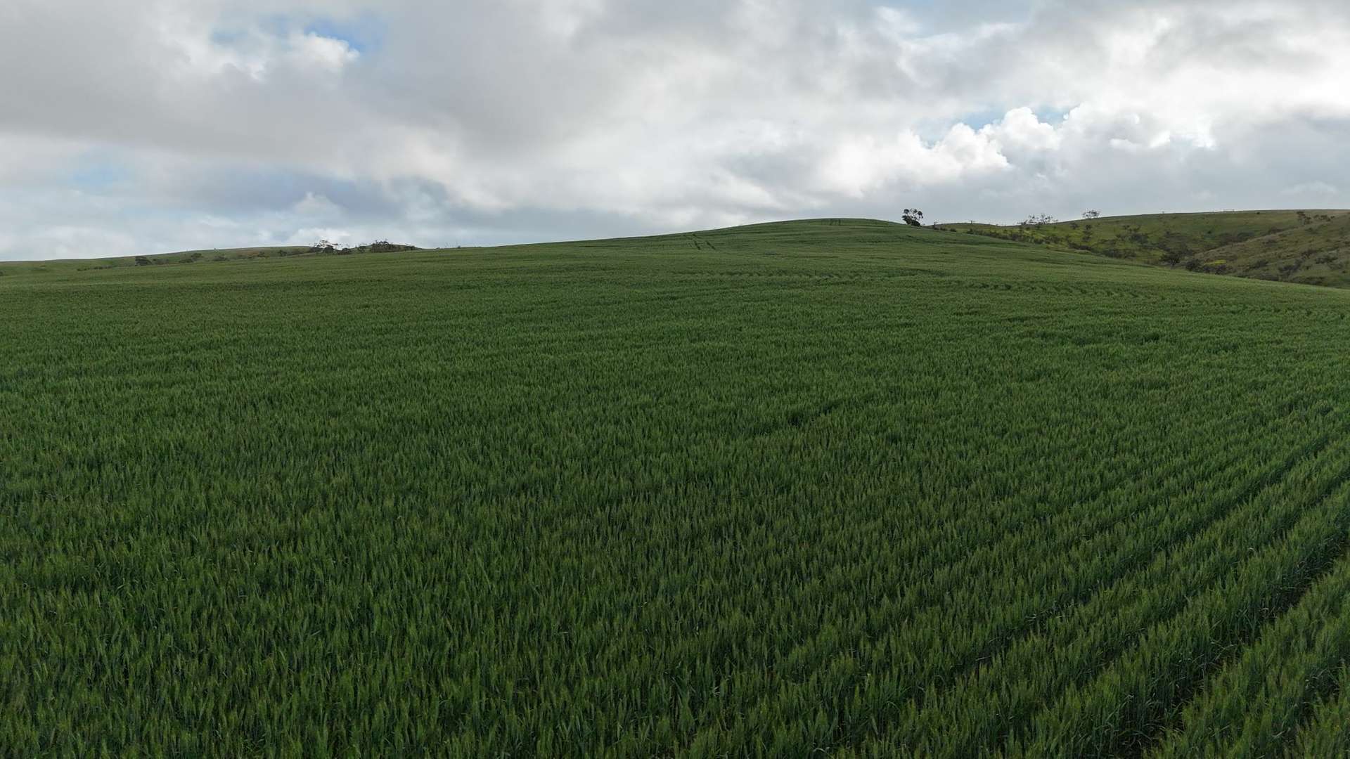 'Crystal Valley' Talbots Road, Crystal Brook For Sale by Farmbuy.com - image 18