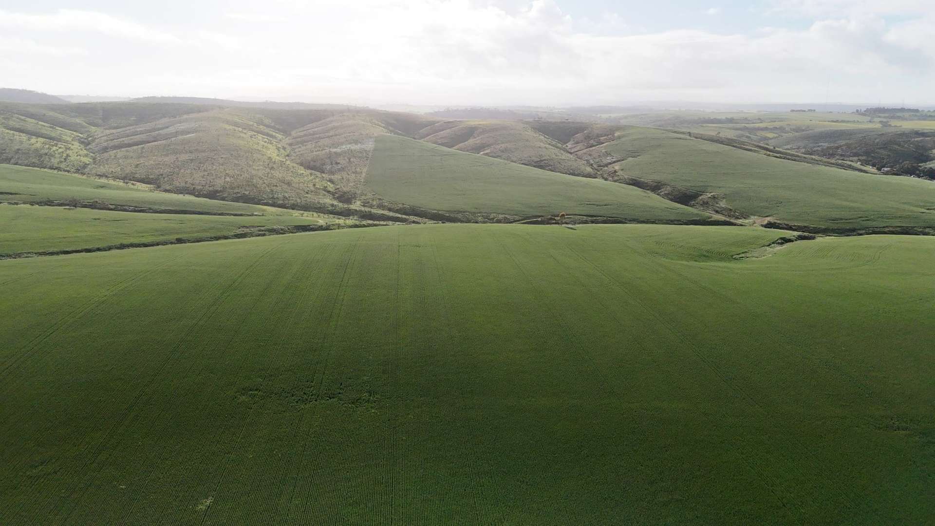 'Crystal Valley' Talbots Road, Crystal Brook For Sale by Farmbuy.com - image 6