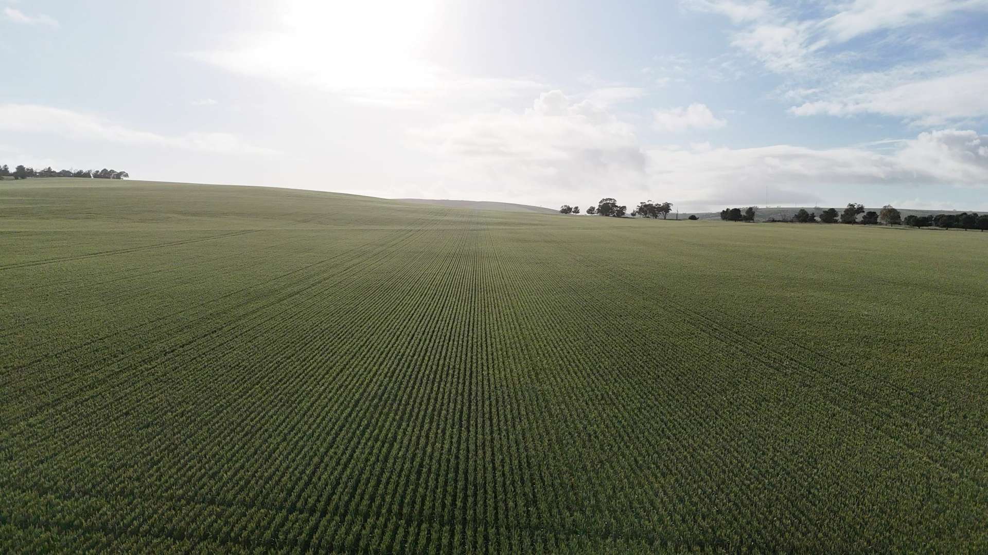 'Crystal Valley' Talbots Road, Crystal Brook For Sale by Farmbuy.com - image 2