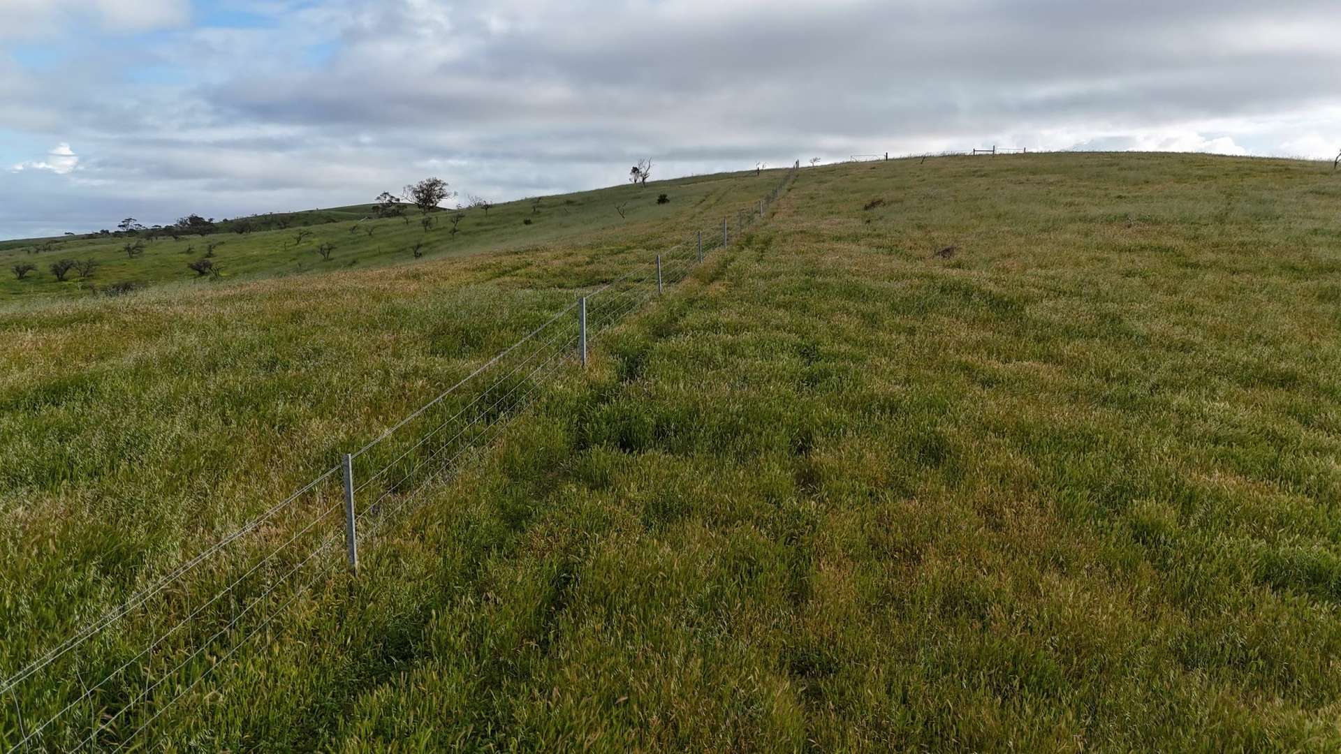 'Crystal Valley' Talbots Road, Crystal Brook For Sale by Farmbuy.com - image 13