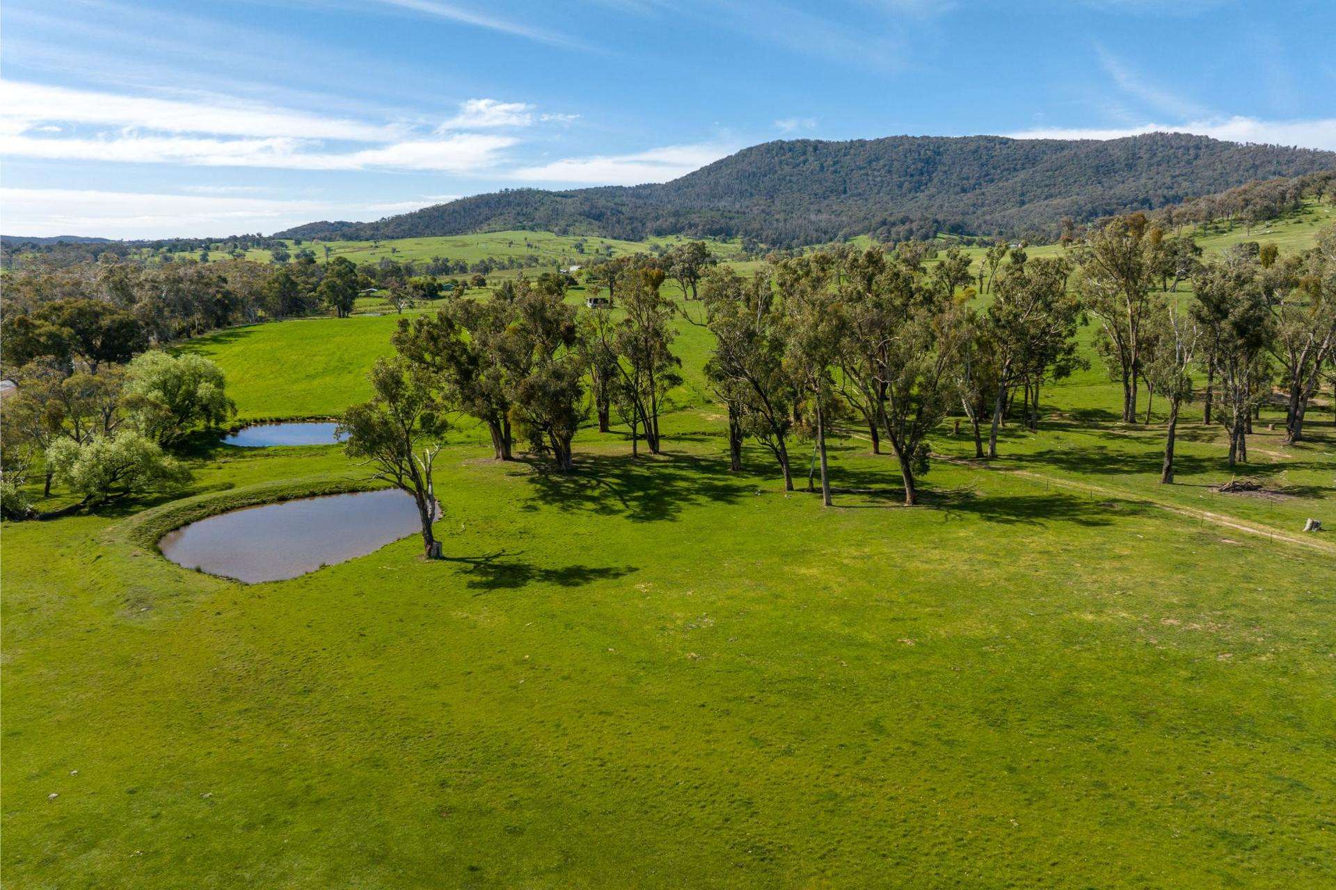 589 Tooma Road, Tumbarumba For Sale by Farmbuy.com - image 14