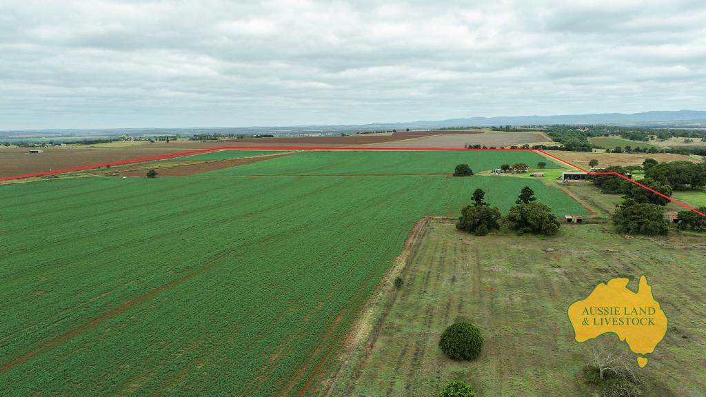 716 Reedy Creek Road, Benair For Sale by Farmbuy.com - image 10