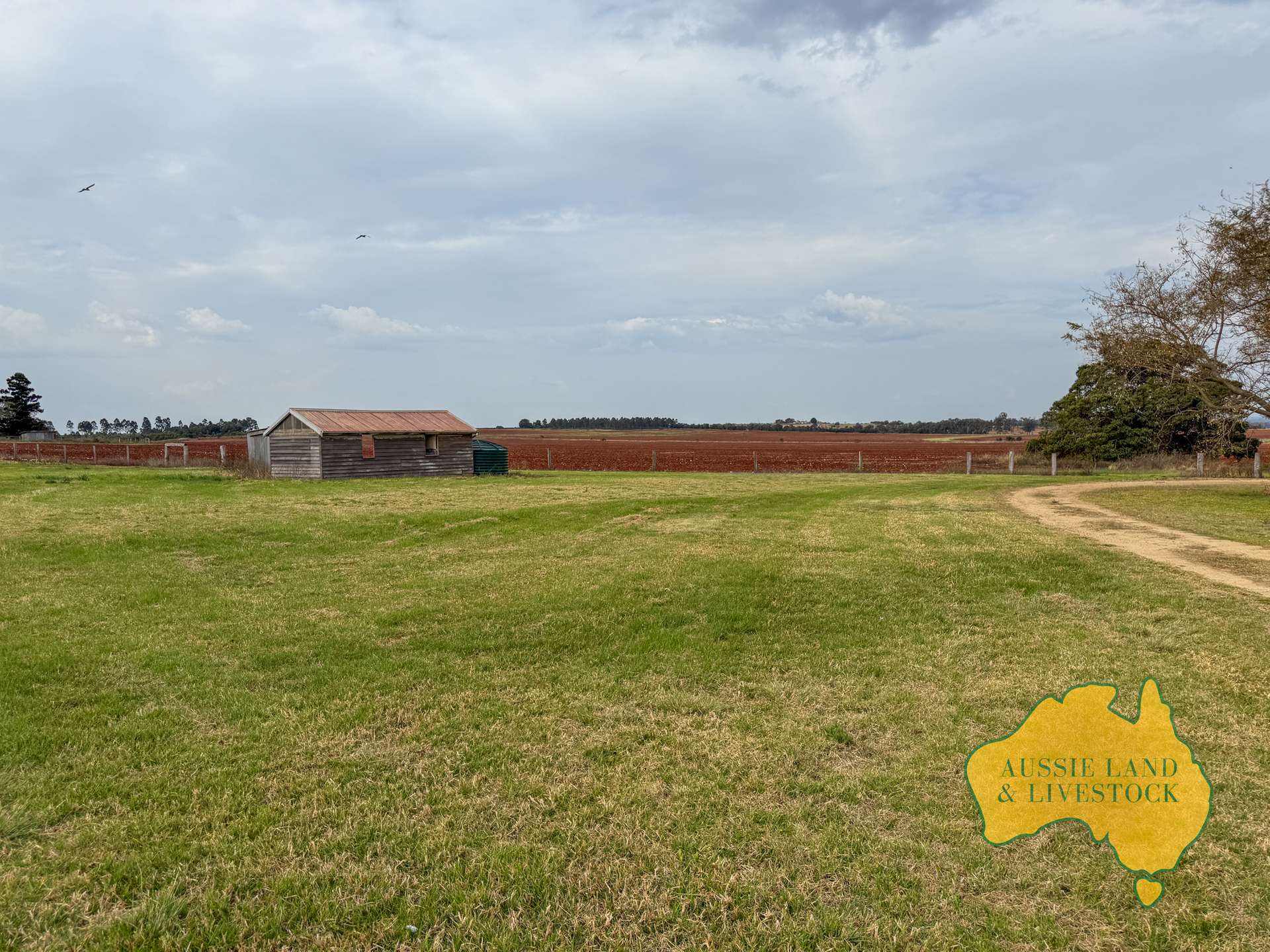 716 Reedy Creek Road, Benair For Sale by Farmbuy.com - image 14