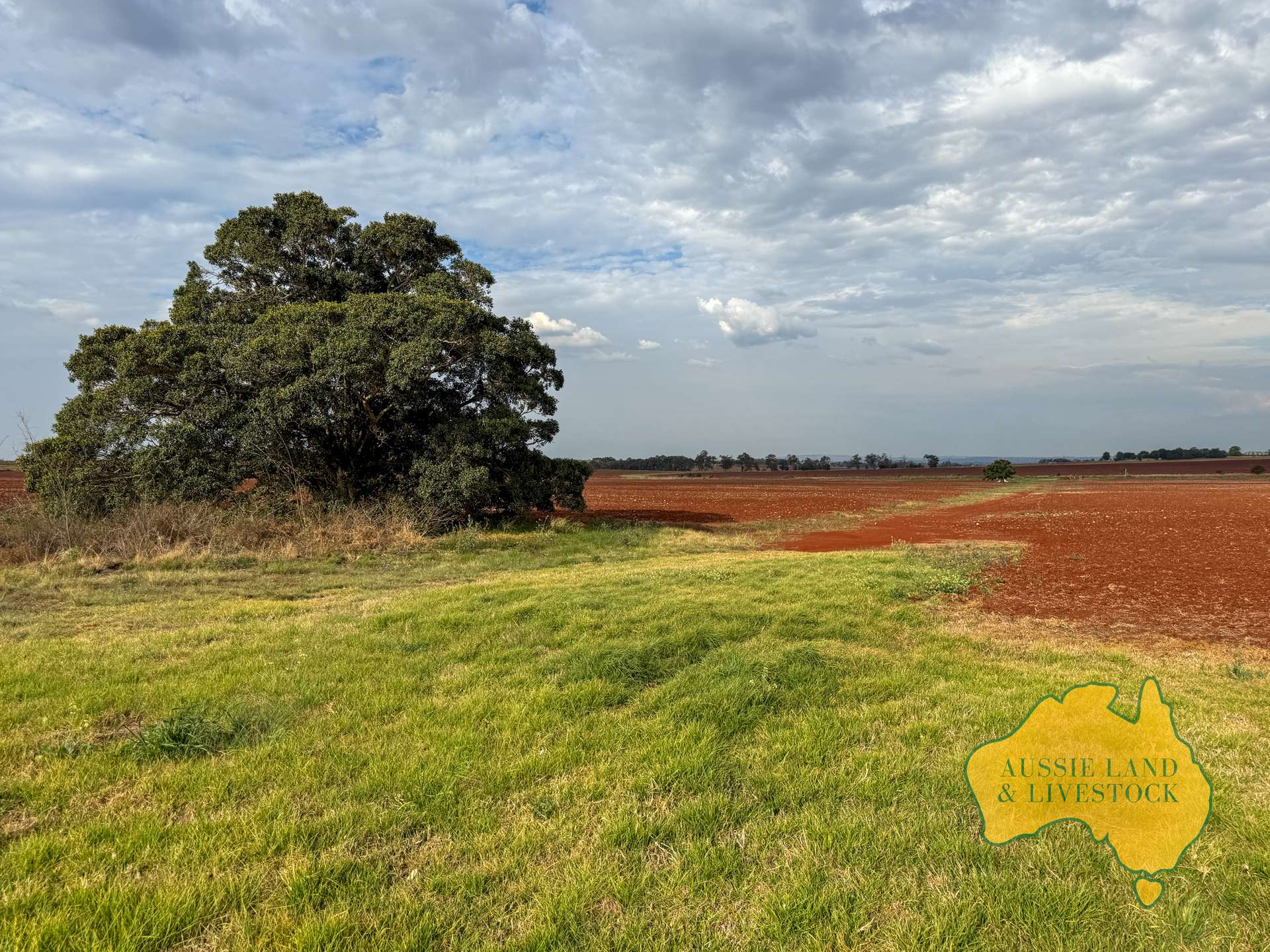 716 Reedy Creek Road, Benair For Sale by Farmbuy.com - image 34