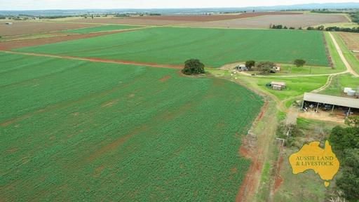 Farm For Sale - QLD - Benair - 4610 - Prime Volcanic Red Soils – Cropping, Cattle & Country Lifestyle - reduced price. 