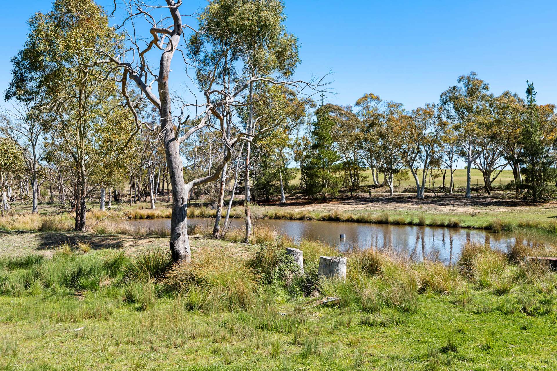 370 Mount Baw Baw Road, Baw Baw Via, Goulburn Sold by Farmbuy.com - image 12