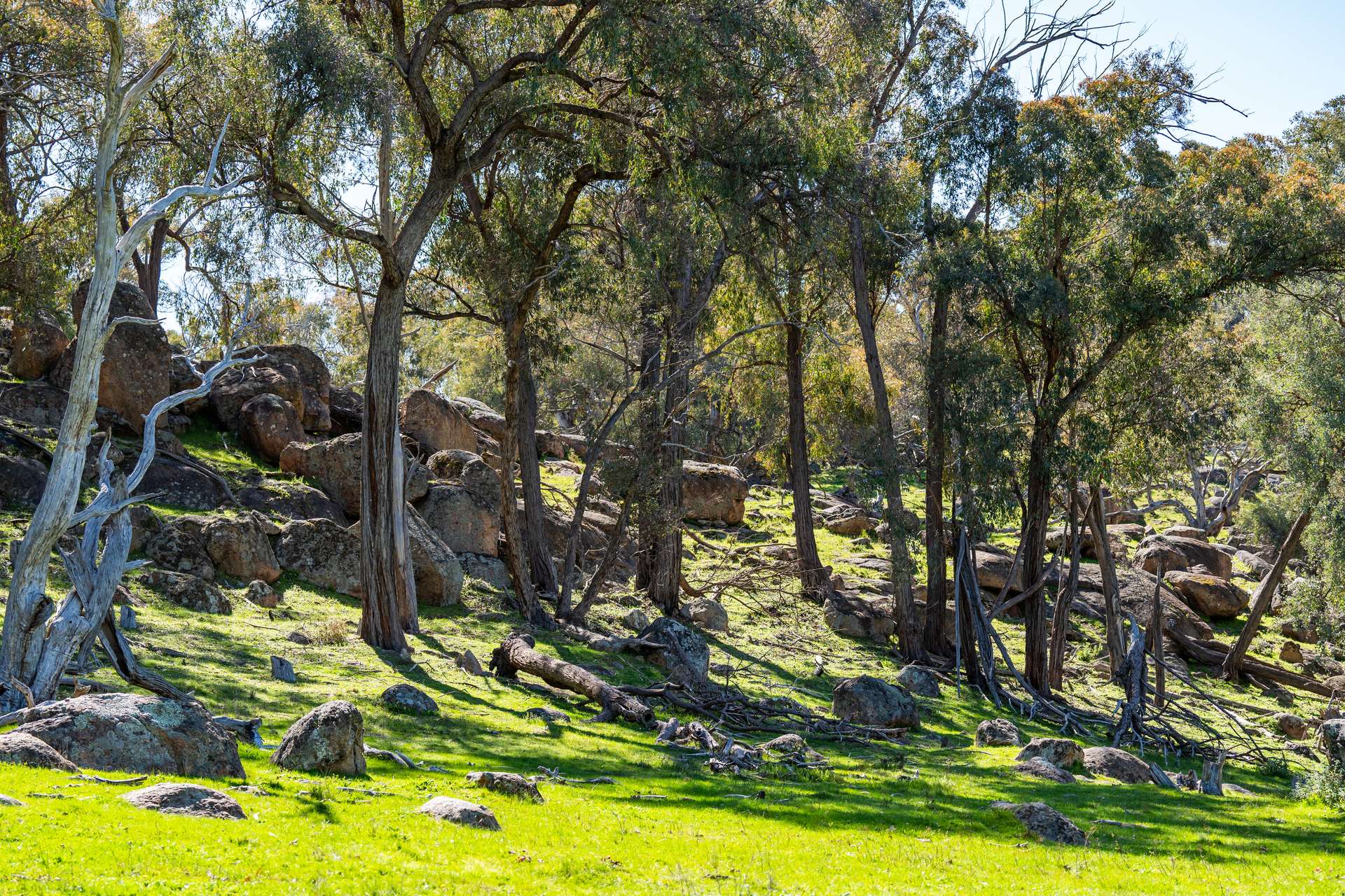 . Sanderson Road, Springhurst For Sale by Farmbuy.com - image 17