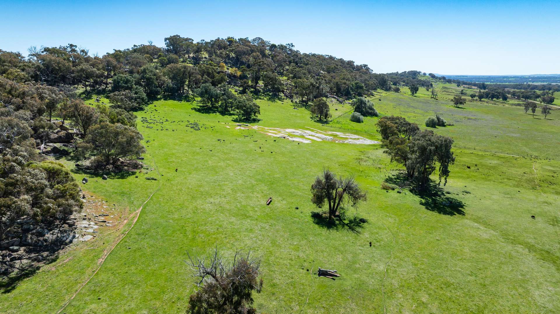 . Sanderson Road, Springhurst For Sale by Farmbuy.com - image 3