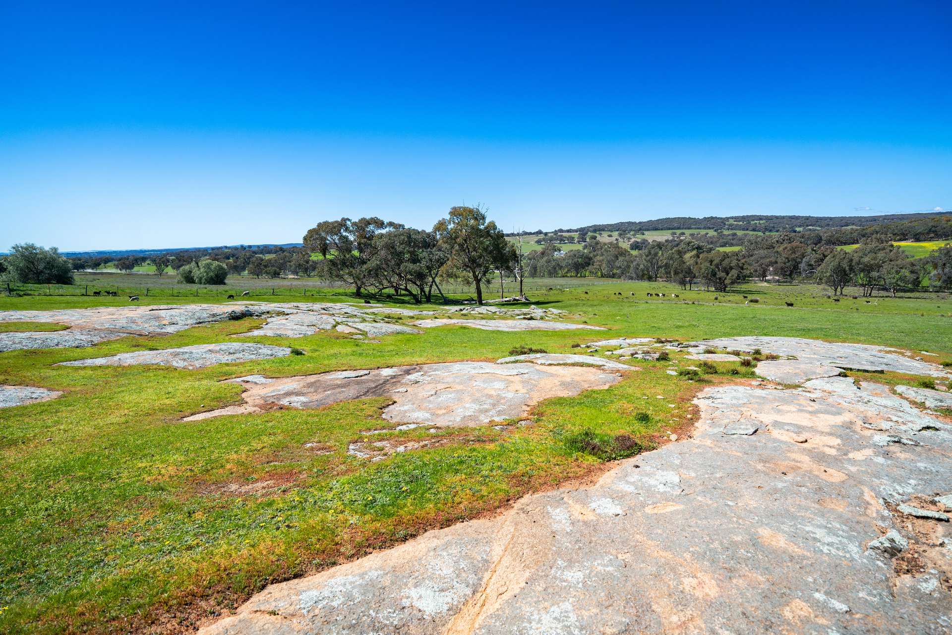 . Sanderson Road, Springhurst For Sale by Farmbuy.com - image 19