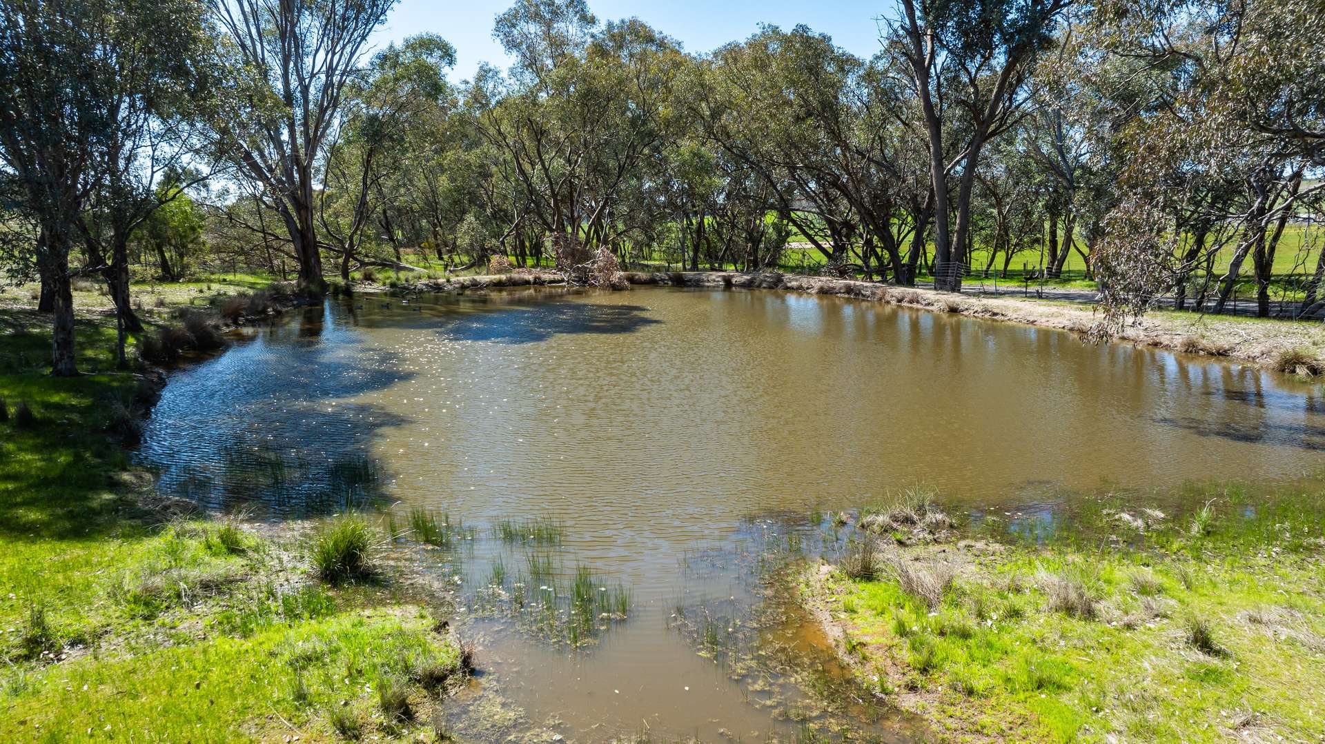 . Sanderson Road, Springhurst For Sale by Farmbuy.com - image 7
