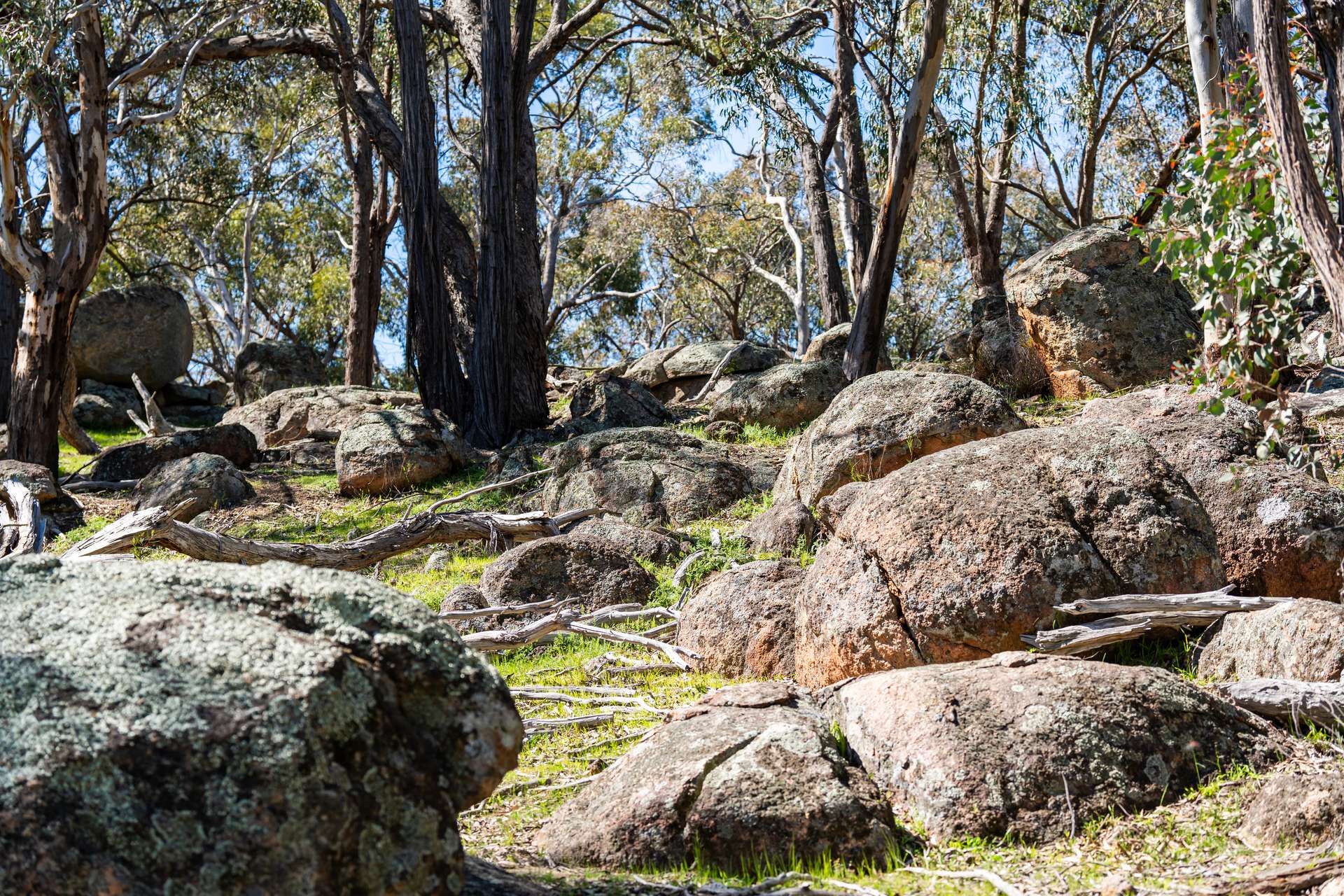. Sanderson Road, Springhurst For Sale by Farmbuy.com - image 16