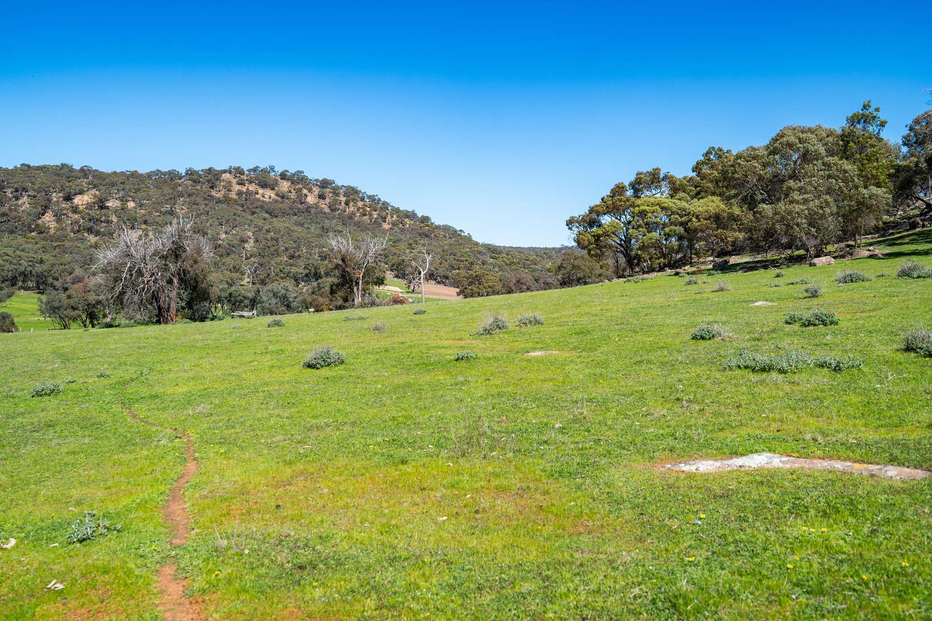 . Sanderson Road, Springhurst For Sale by Farmbuy.com - image 20