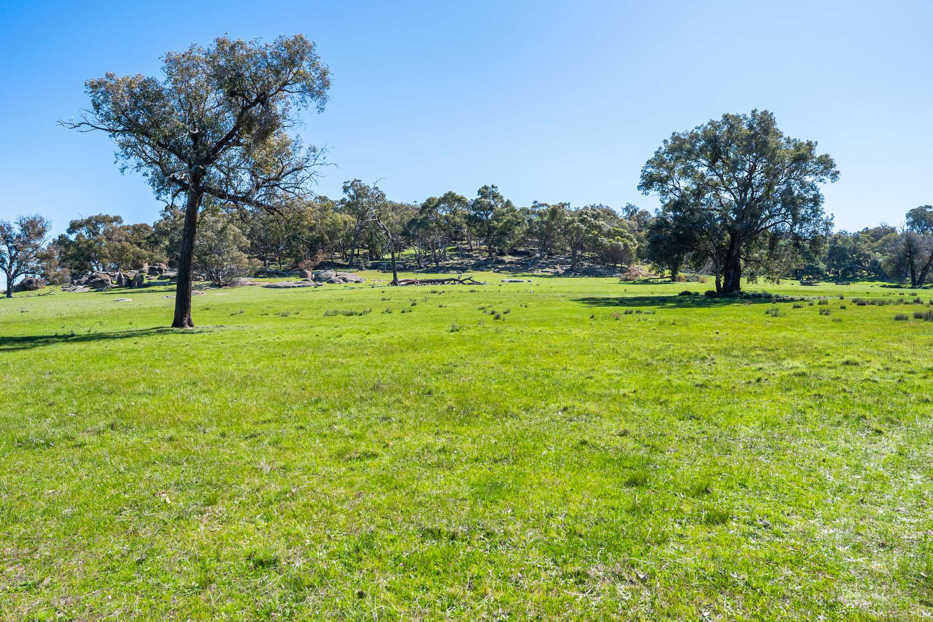 . Sanderson Road, Springhurst For Sale by Farmbuy.com - image 26