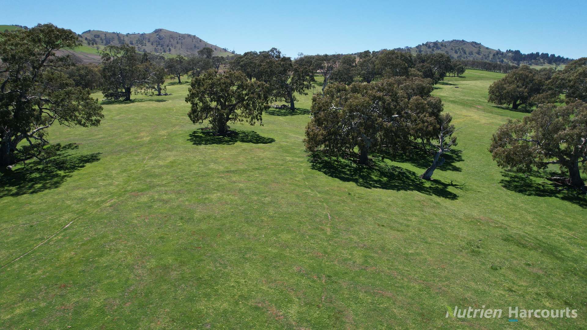 Lot 2/154 McIntyre Lane, Ercildoune Sold by Farmbuy.com - image 2