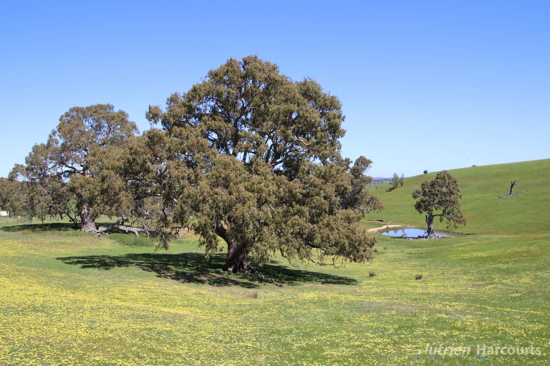 Lot 2/154 McIntyre Lane, Ercildoune Sold by Farmbuy.com - image 22