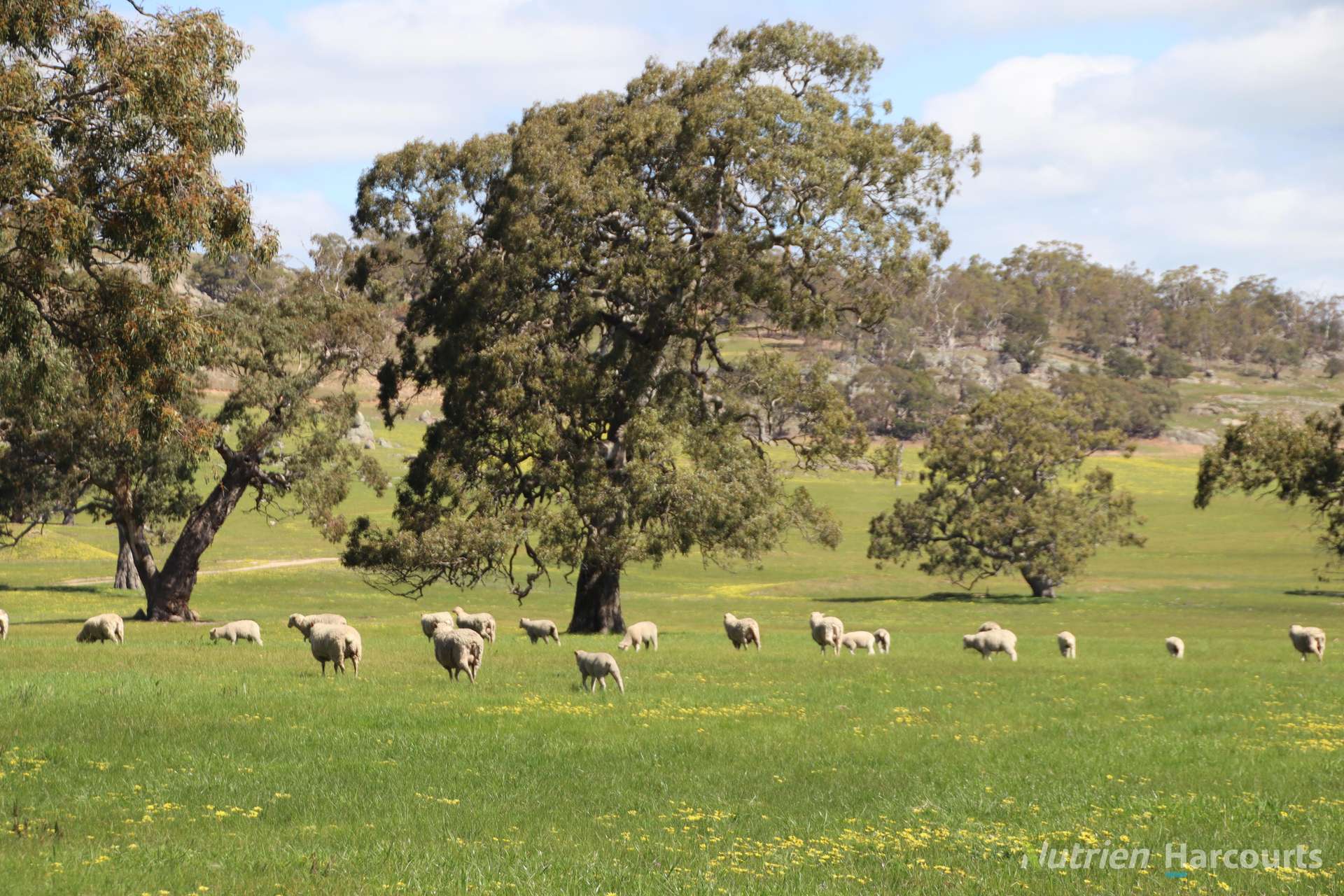 578 Beaufort-Waubra Road, Ercildoune Tender by Farmbuy.com - image 11