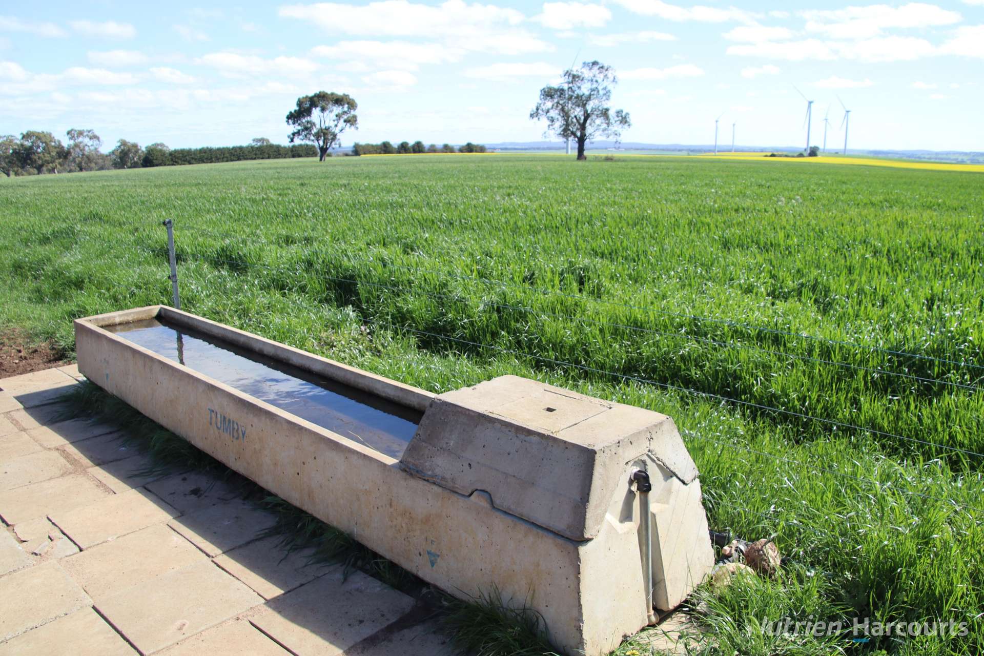 578 Beaufort-Waubra Road, Ercildoune Tender by Farmbuy.com - image 6