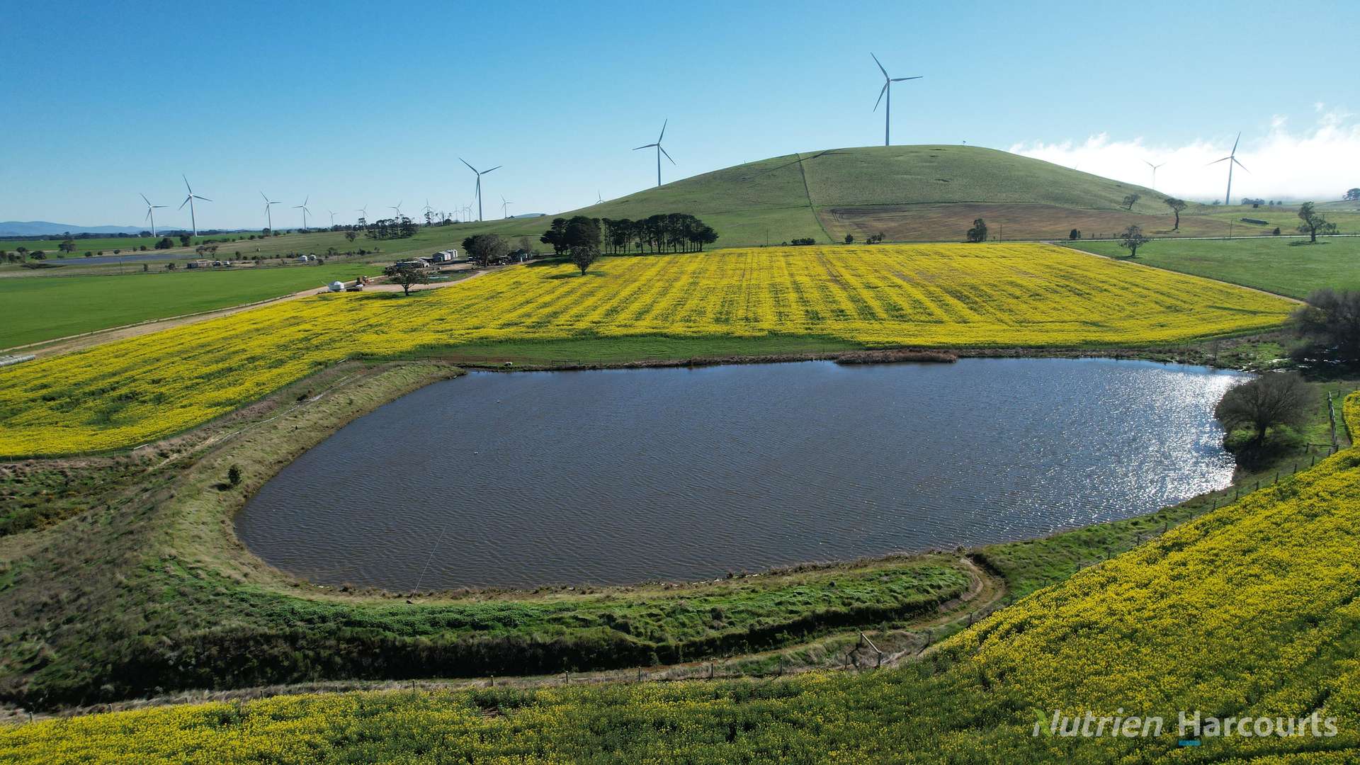 578 Beaufort-Waubra Road, Ercildoune Tender by Farmbuy.com - image 18