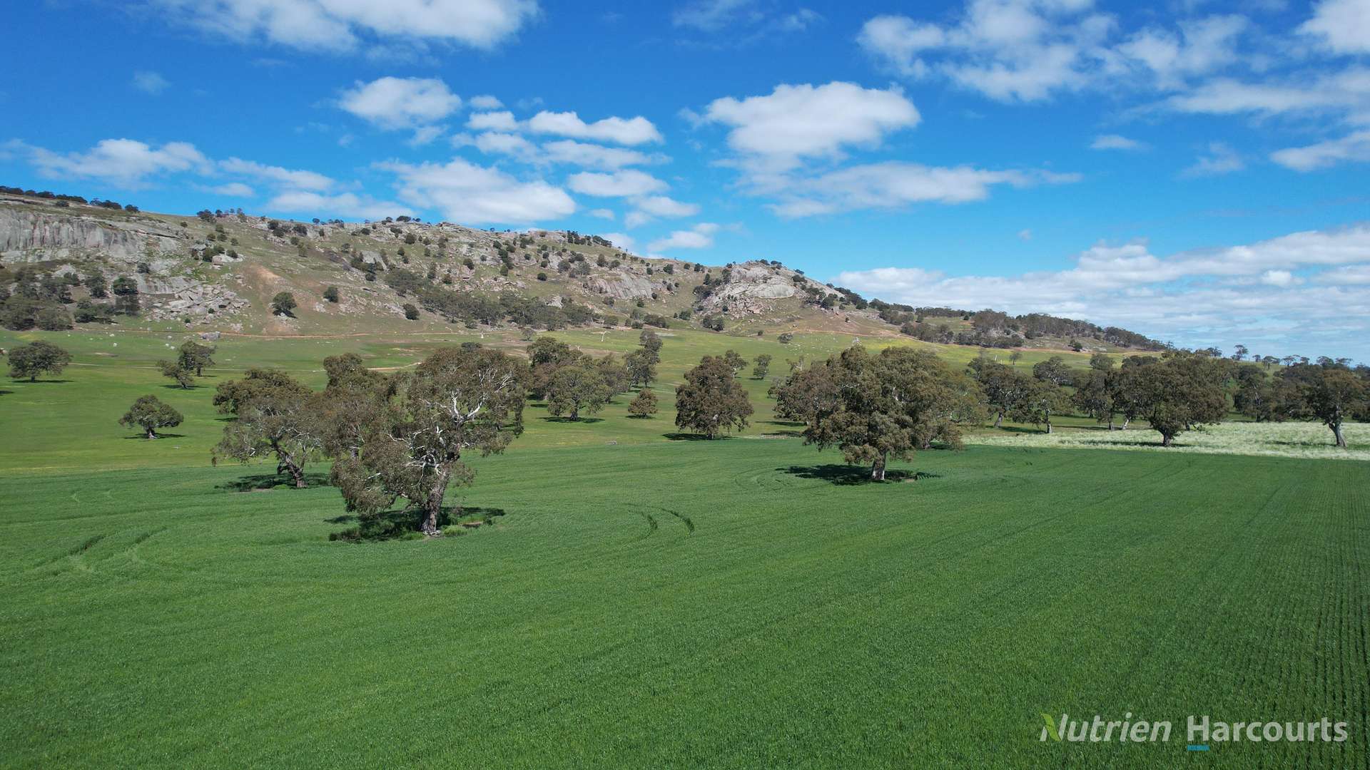 578 Beaufort-Waubra Road, Ercildoune Tender by Farmbuy.com - image 13