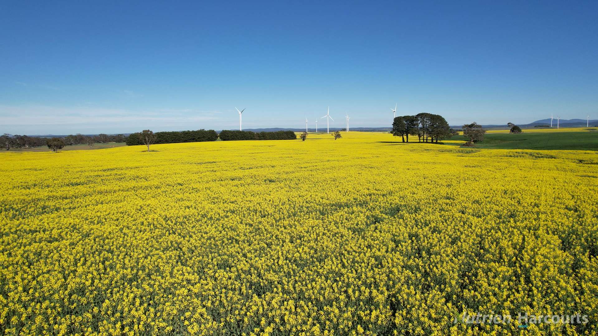 578 Beaufort-Waubra Road, Ercildoune Tender by Farmbuy.com - image 1