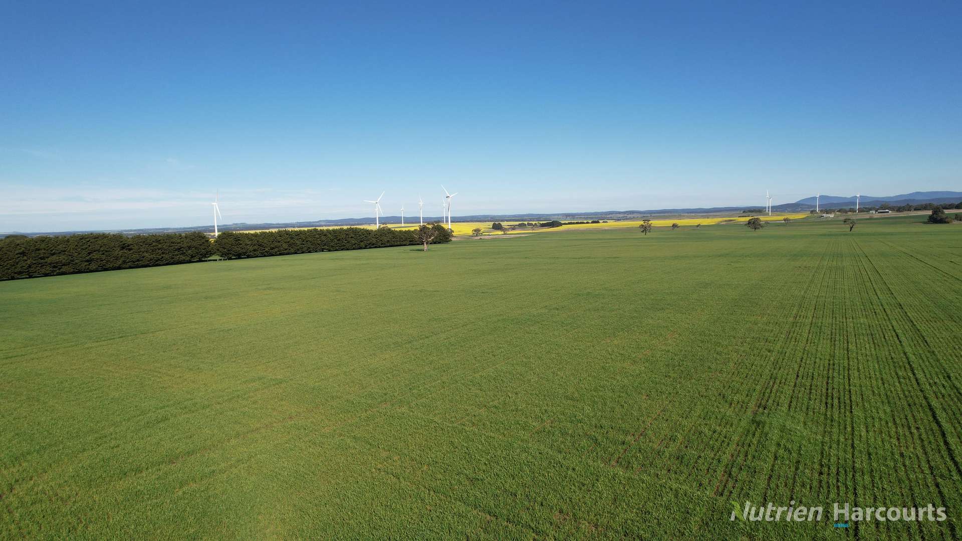 578 Beaufort-Waubra Road, Ercildoune Tender by Farmbuy.com - image 15
