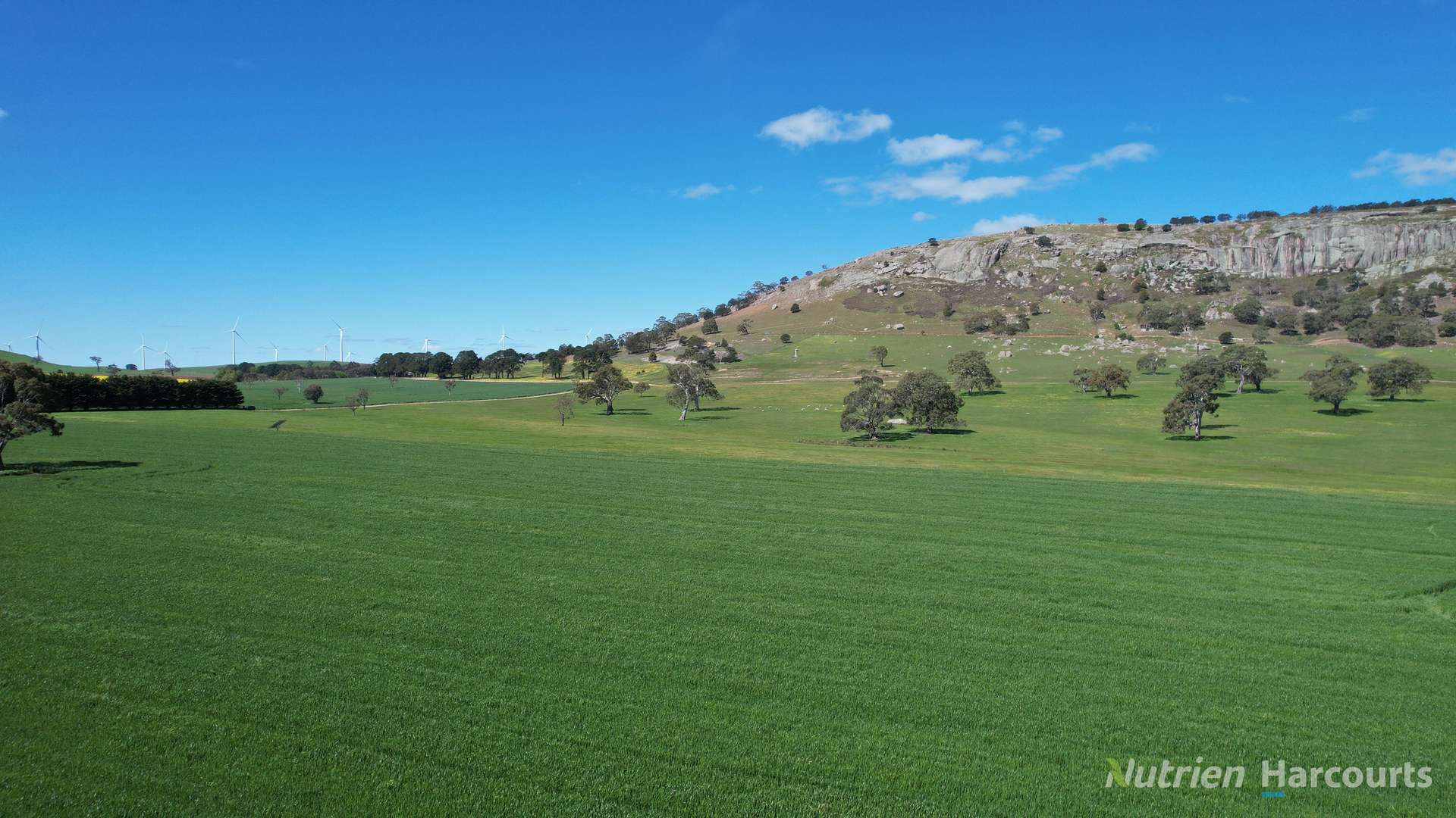 Lot 2 Beaufort-Waubra Road, Ercildoune For Sale by Farmbuy.com - image 9