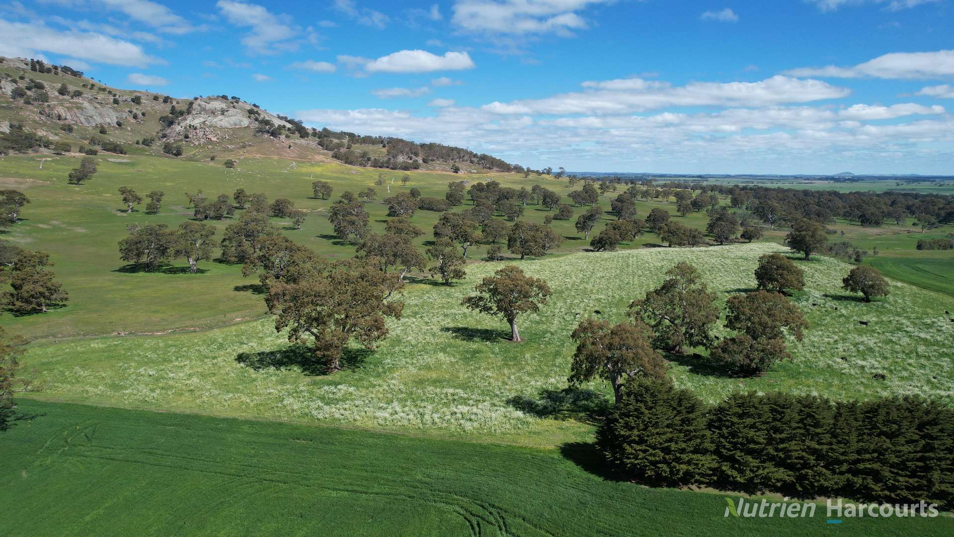 578 Beaufort-Waubra Road, Ercildoune Tender by Farmbuy.com - image 4