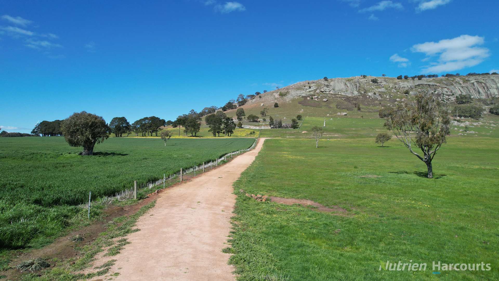 578 Beaufort-Waubra Road, Ercildoune Tender by Farmbuy.com - image 12