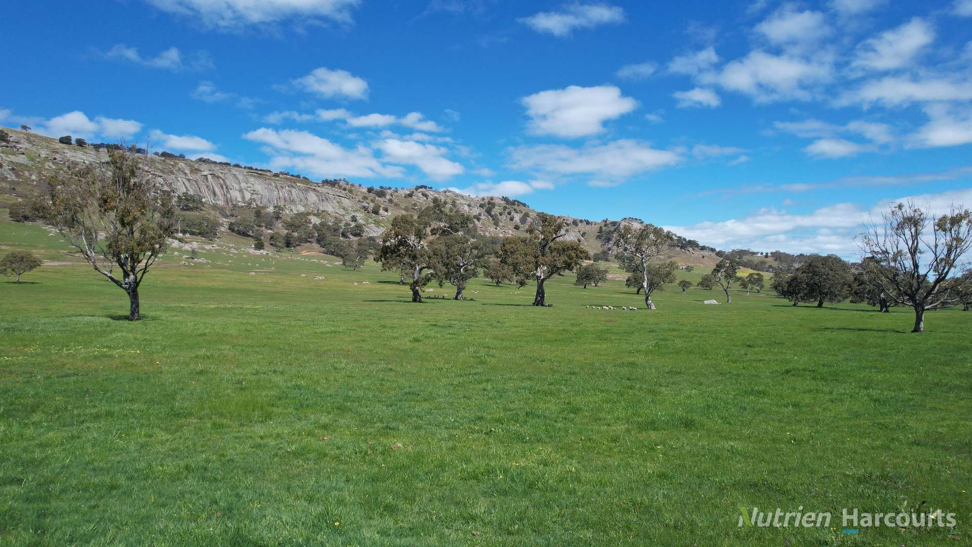 578 Beaufort-Waubra Road, Ercildoune Tender by Farmbuy.com - image 14