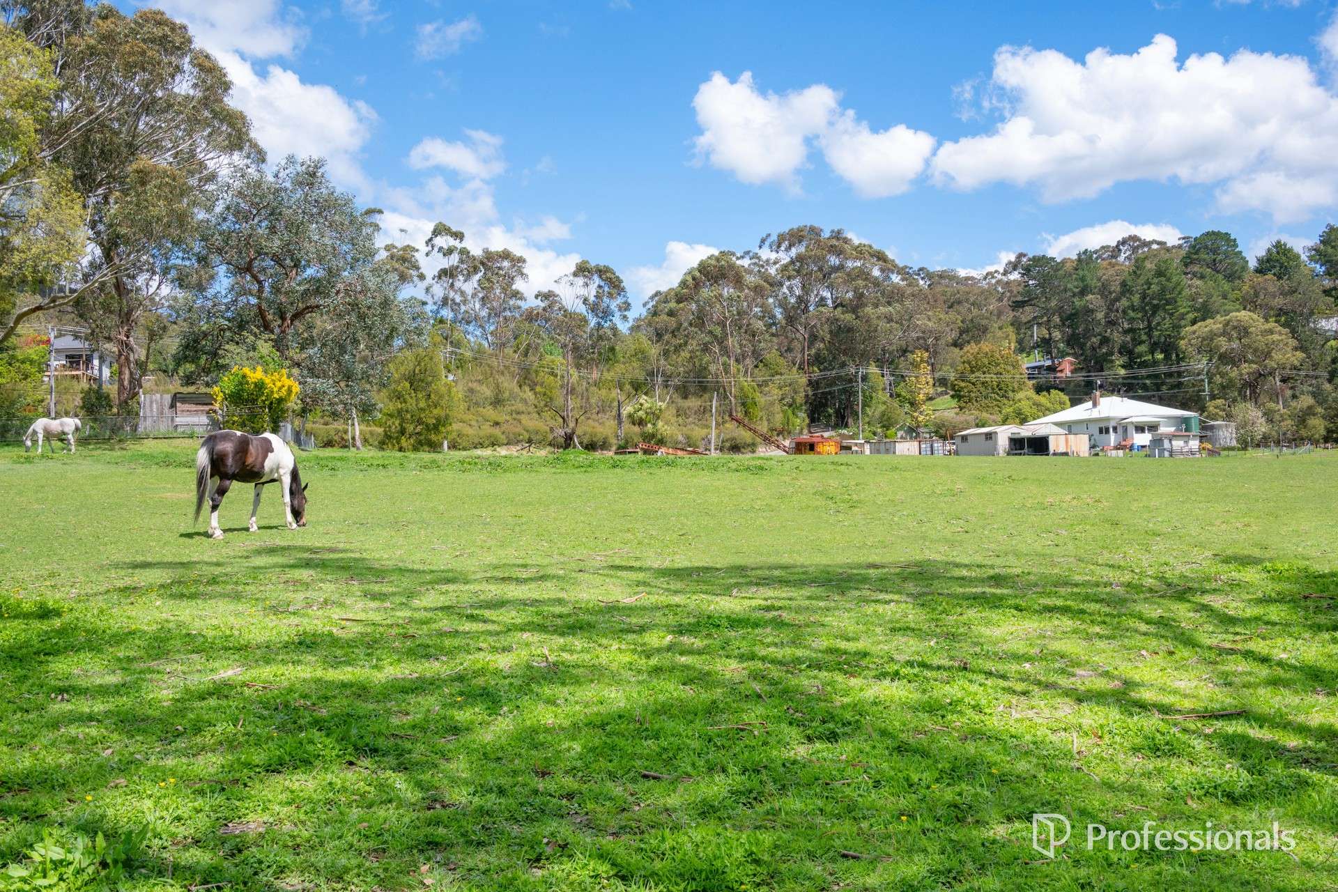 112 Barak Drive, Launching Place Sold by Farmbuy.com - image 14