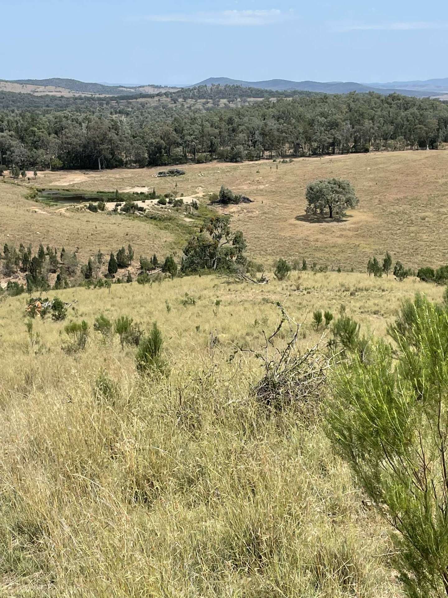 Lot 9 Silver Spur Redgate Road, Silver Spur For Sale by Farmbuy.com - image 3