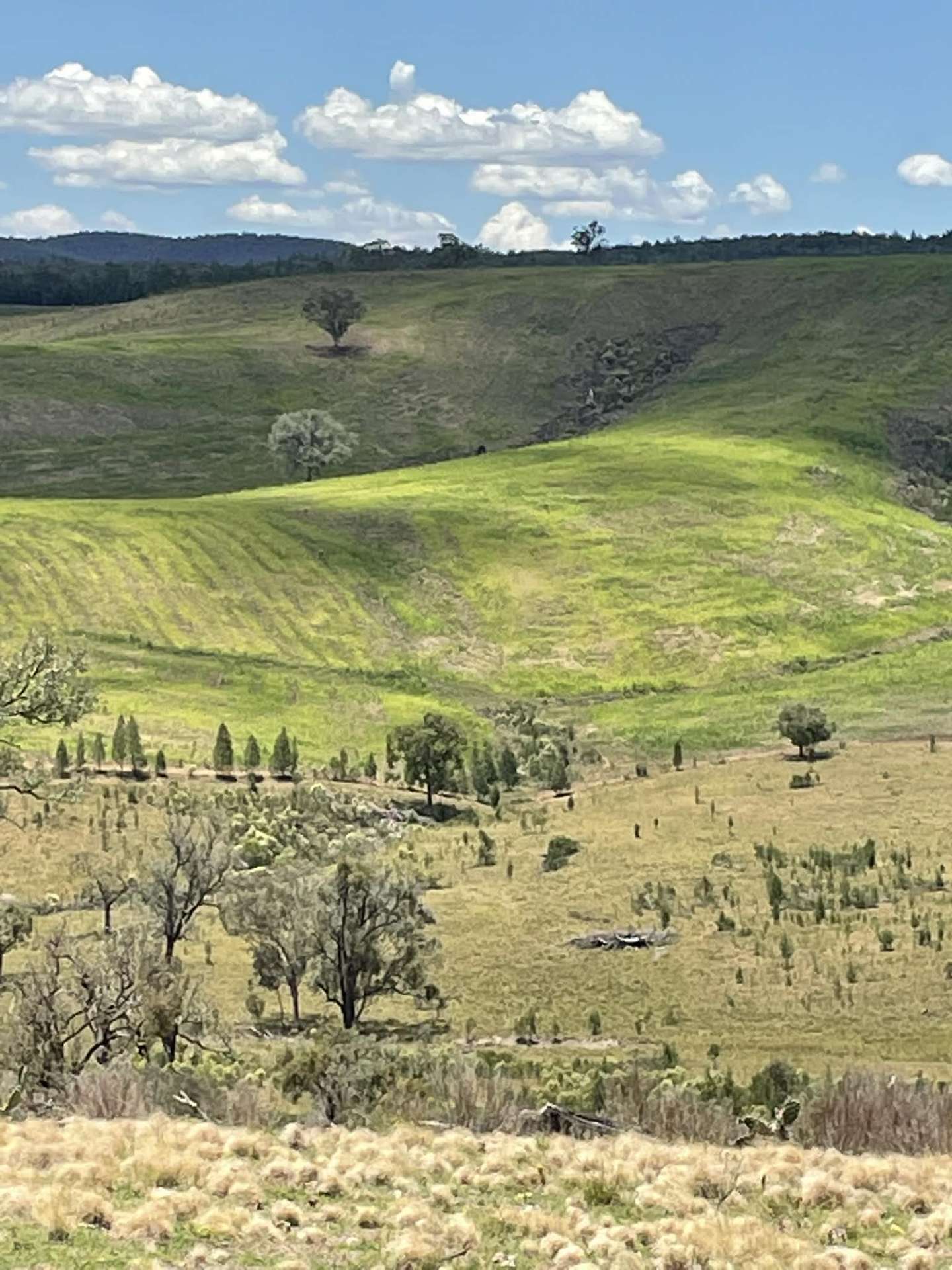Lot 9 Silver Spur Redgate Road, Silver Spur For Sale by Farmbuy.com - image 2