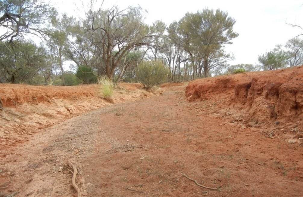 Hy Brazil, Mount Magnet For Sale by Farmbuy.com - image 18