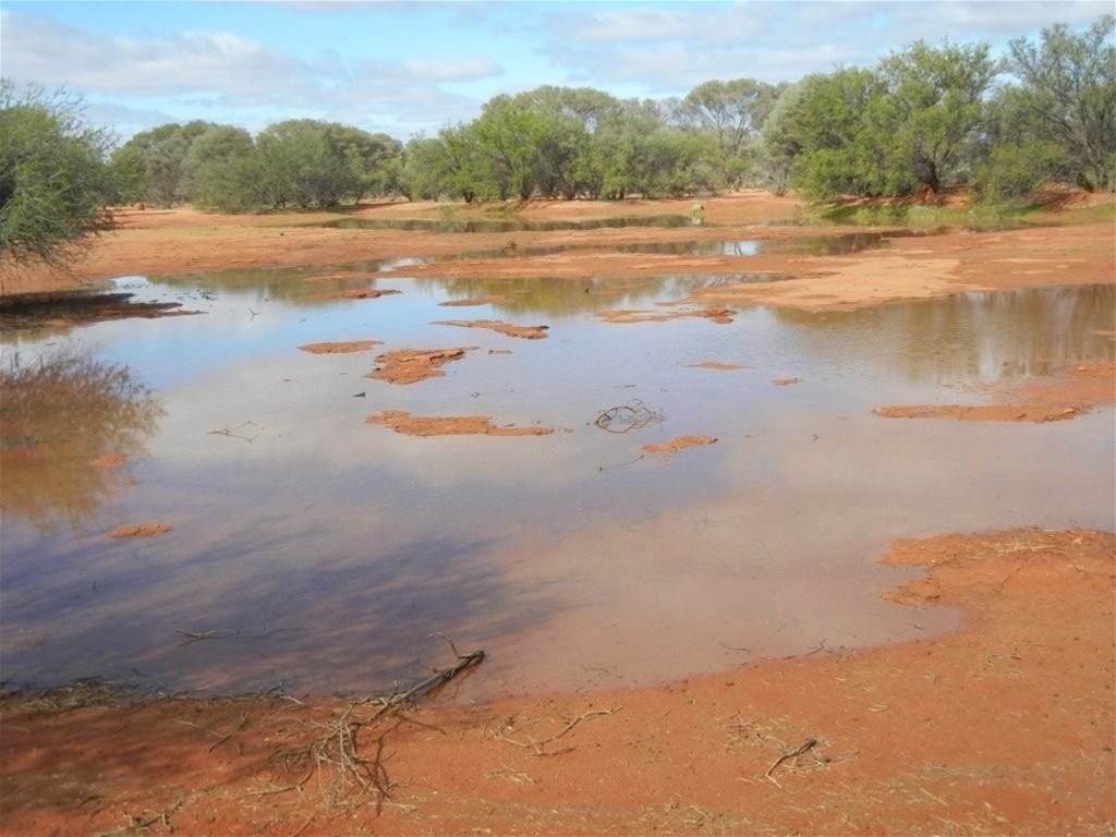 Hy Brazil, Mount Magnet For Sale by Farmbuy.com - image 4