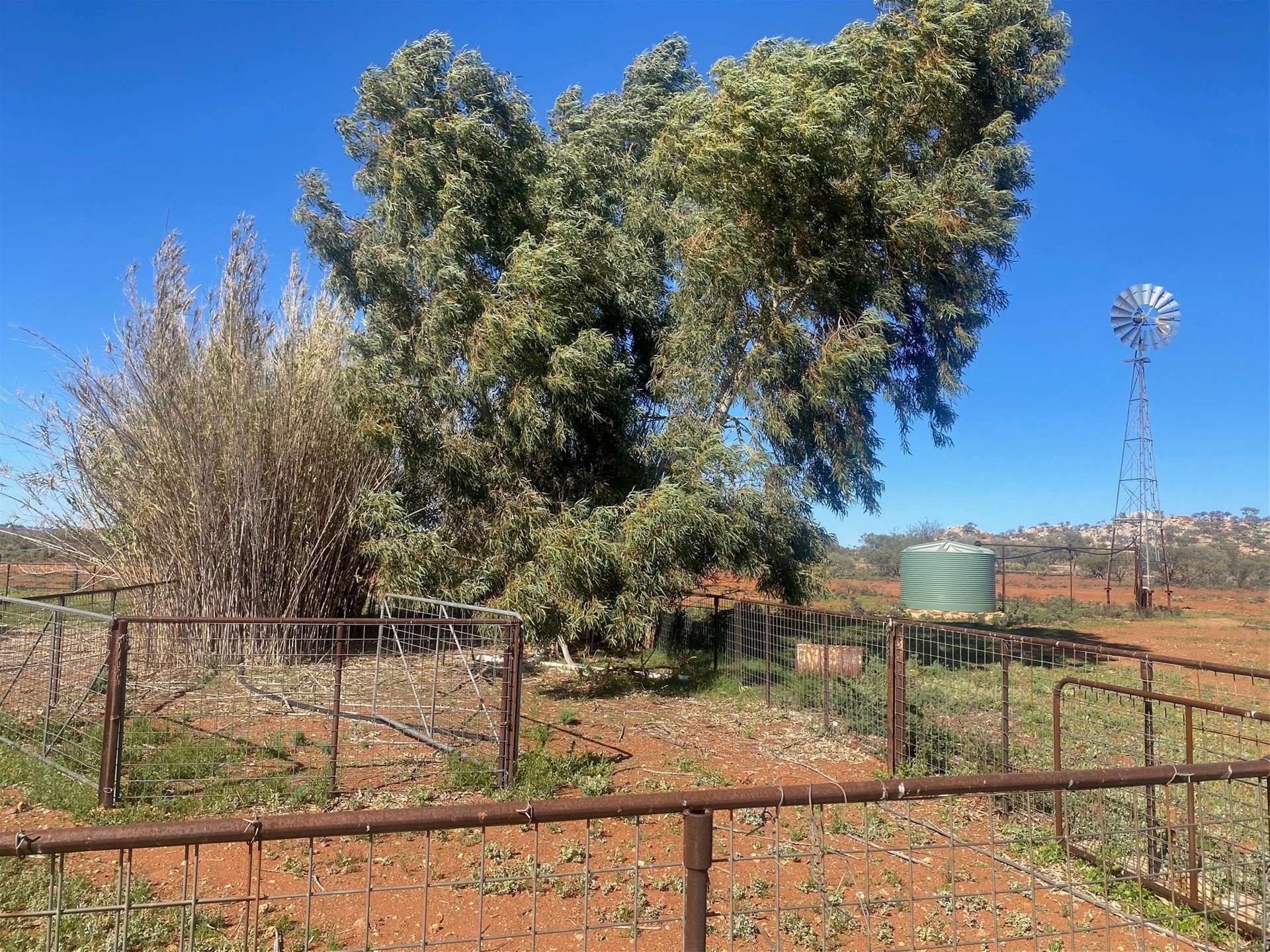Hy Brazil, Mount Magnet For Sale by Farmbuy.com - image 19