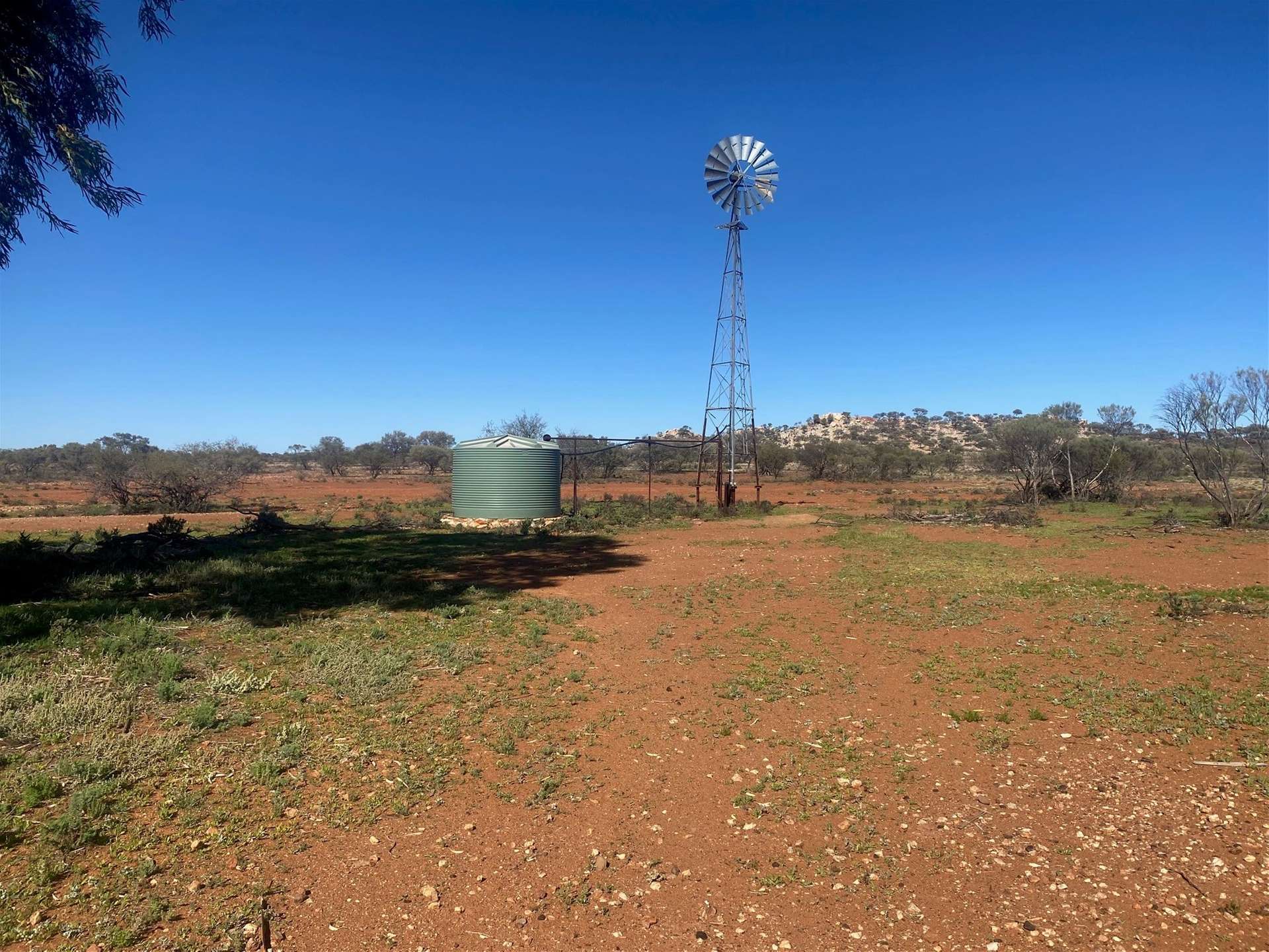 Hy Brazil, Mount Magnet For Sale by Farmbuy.com - image 3