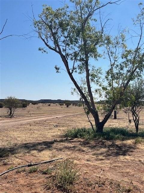 Hy Brazil, Mount Magnet For Sale by Farmbuy.com - image 7