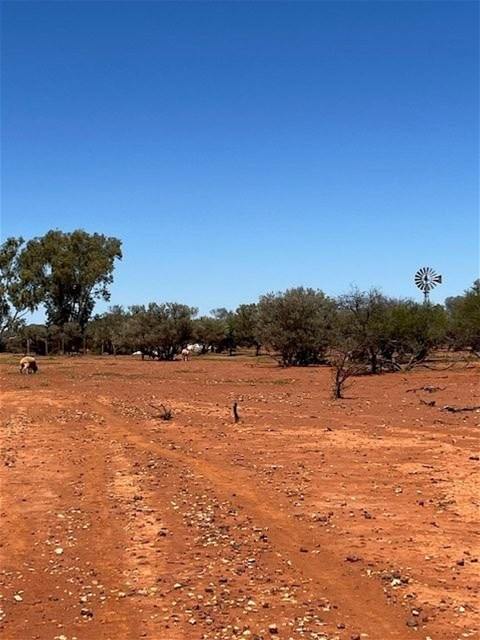 Hy Brazil, Mount Magnet For Sale by Farmbuy.com - image 14