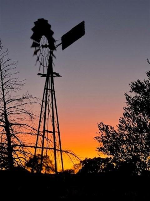 Hy Brazil, Mount Magnet For Sale by Farmbuy.com - image 23