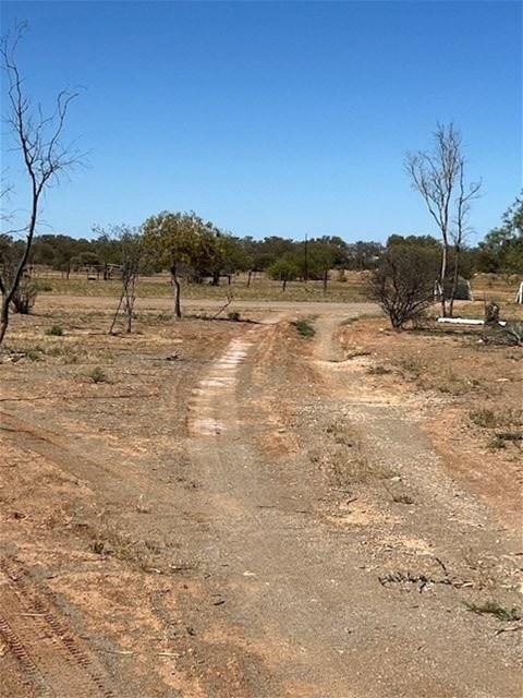 Hy Brazil, Mount Magnet For Sale by Farmbuy.com - image 8