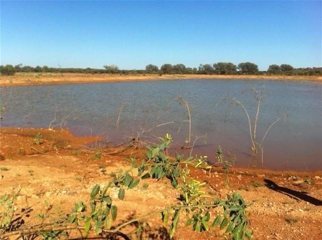 Hy Brazil, Mount Magnet For Sale by Farmbuy.com - image 2