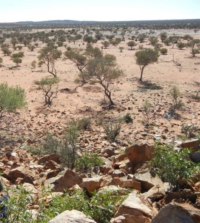 Hy Brazil, Mount Magnet For Sale by Farmbuy.com - image 5