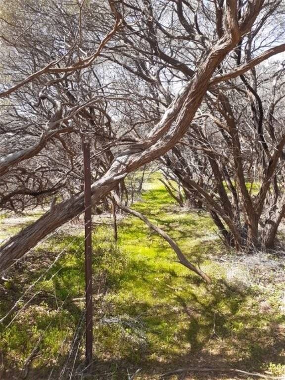 Hy Brazil, Mount Magnet For Sale by Farmbuy.com - image 20
