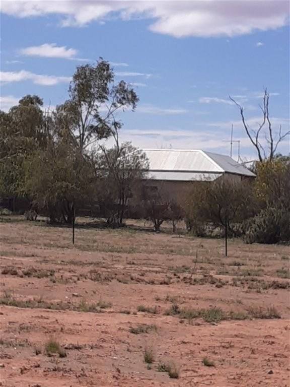 Hy Brazil, Mount Magnet For Sale by Farmbuy.com - image 10