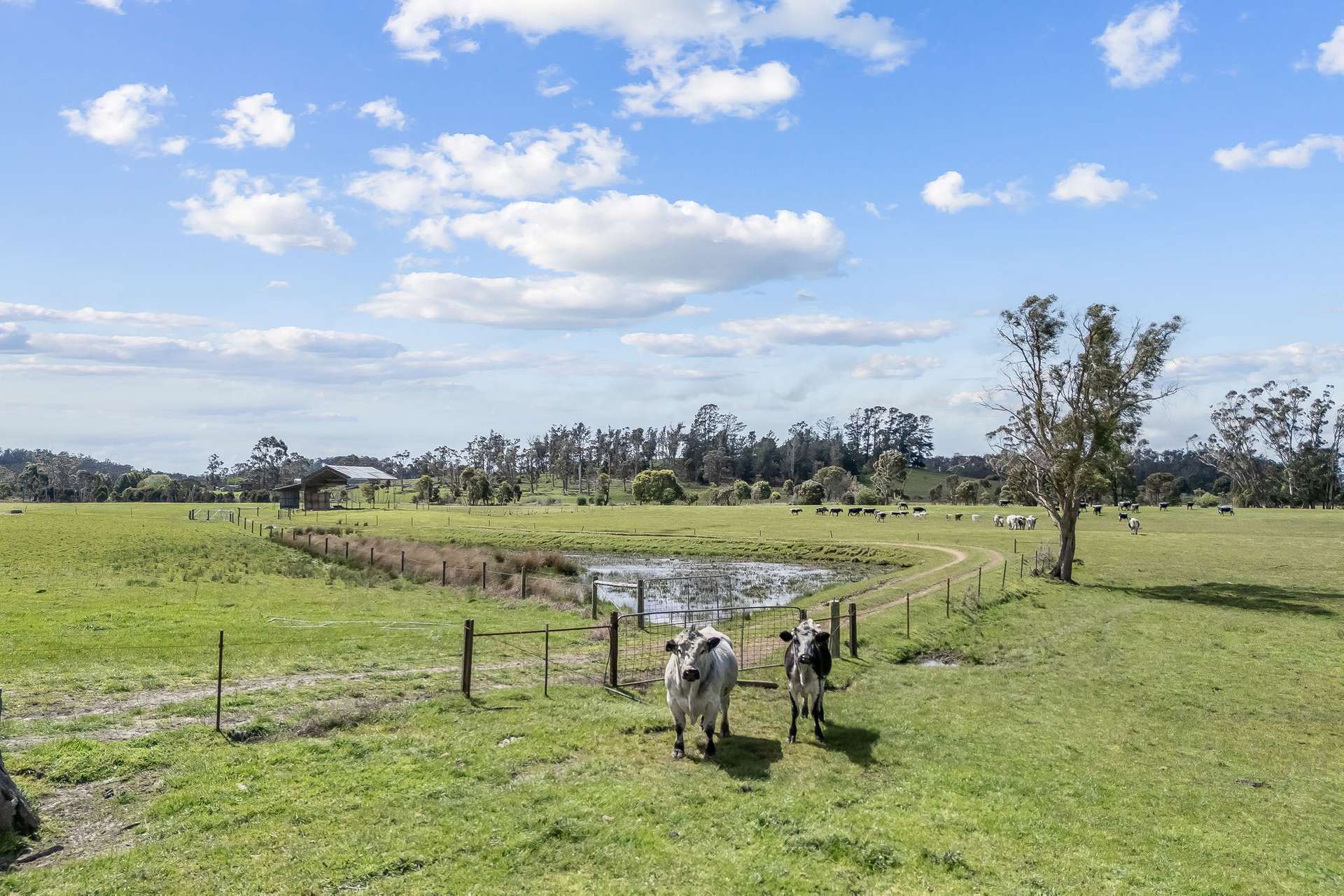 908 Bridgenorth Road, Bridgenorth Sold by Farmbuy.com - image 15
