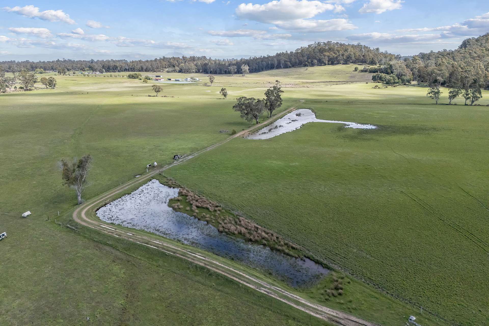 908 Bridgenorth Road, Bridgenorth Sold by Farmbuy.com - image 23